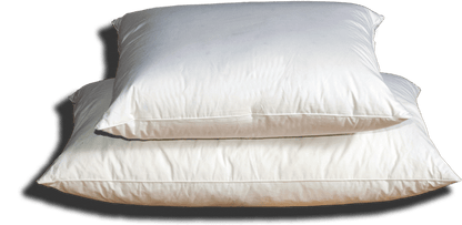 Large Pillows and Square Pillows European sizes